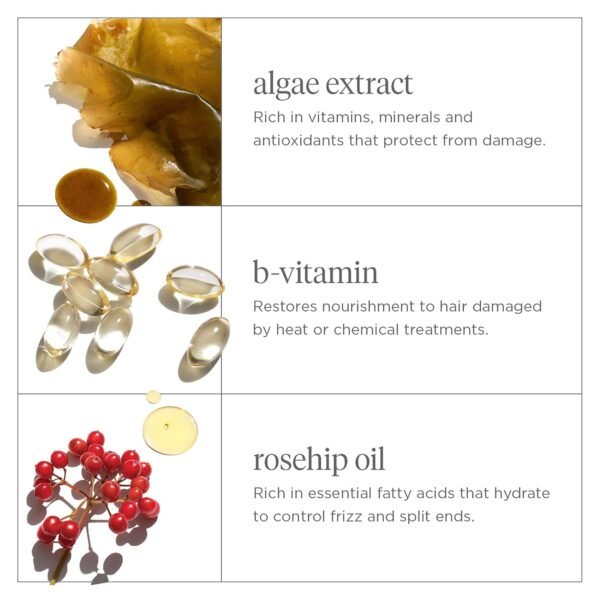 Briogeo Don't Despair, Repair! Super Moisture Conditioner, for Dry, Damaged Hair, Hair Moisturizer featuring Argan Oil, Vegan, Cruelty-Free - Image 5