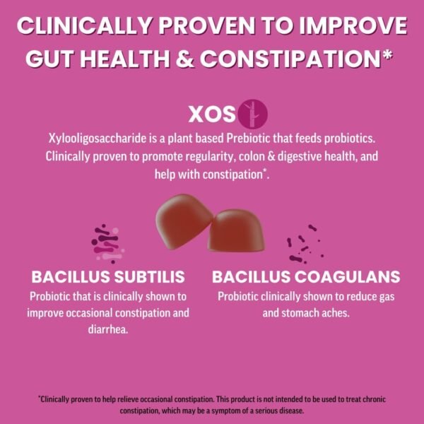 Llama Naturals Real Fruit Prebiotic & Probiotic Gummies for Adults | No Added Sugar Cane,| Vegan Organic Synbiotics, Digestive Support, Women & Men Gut Health, 5B CFU, 60 ct (30 Days) Mixed Berry - Image 3