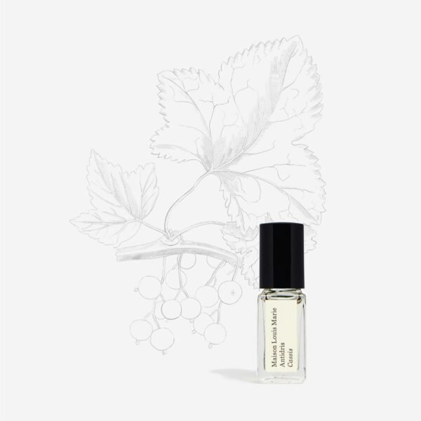 Maison Louis Marie - Antidris Cassis Natural Roll-On Perfume Oil Sample | Luxury Clean Beauty + Non-Toxic Fragrance (0.1 fl oz | 3 ml) - Image 3
