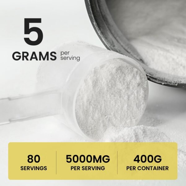 UpNourish Micronized Creatine Monohydrate Powder 400 G - Unflavored Vegan for Pre Workout, Muscle Building Pure Women and Men Instantized Supplement, 80 Servings 14.1096 Ounce - Image 5