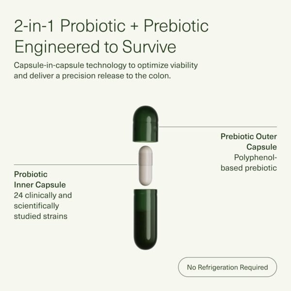 Seed DS-01 Daily Synbiotic - Prebiotic and Probiotic for Women & Men - Digestive Health, Gut Health, Immune Support, Bloating & Constipation Relief - Vegan & Shelf-Stable - 60 Capsules (30-Day Supply) - Image 5