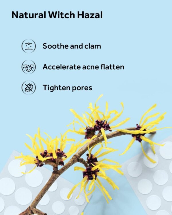 LitBear Acne Pimple Patches- Day and Night 4 Sizes 180 Dots Thin & Thick Hydrocolloid Patches with Witch Hazel, Tea Tree & Calendula Oil, Extra Adhesion for Face Zit Patch Dots - Image 8