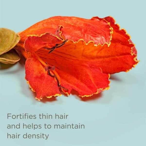 Hairitage 2in1 Styler Variation (Play It Cool Heat Protectant) - Image 4
