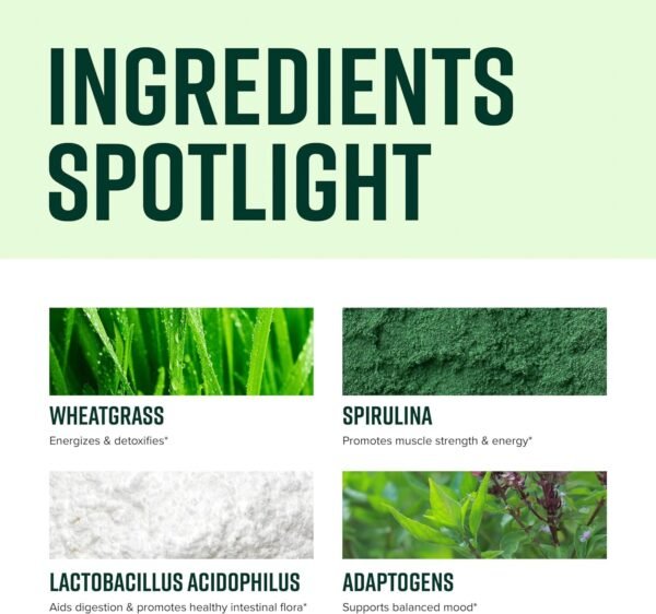 Vibrant Health, Green Vibrance, Includes 65 Plant-Based Superfoods, 25 Billion Probiotics, Fiber, Adaptogens & Enzymes, 83 Servings - Image 4