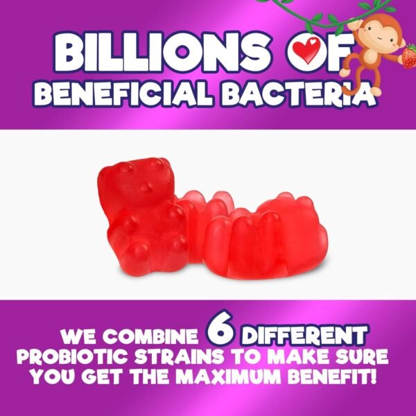 Kids Probiotic Gummies - Chewable Daily Probiotics for Kids Ages 3+ - Natural Digestive Health & Immune Support Vitamin - Vegan, Gluten Soy & Dairy Free, Berry Flavored, Shelf Stable - 60 Gummies - Image 6