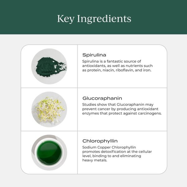CYMBIOTIKA Super Greens Supplement with Chlorophyll, Spirulina, Daily Vegan Superfood Packets for Digestive Gut Health, Detox, Energy and Immune Support, Citrus Lime Flavor, 15 mL Pouches, 30 Pack - Image 4