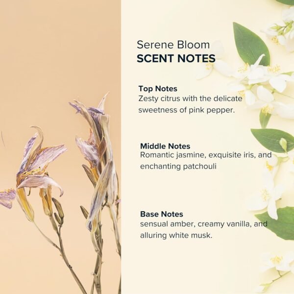 Anthology Serene Bloom Roll on Perfume Oil for Women 0.3oz 9 ML | Citrus, Vanilla, Pink Pepper, Jasmine & Iris Notes | Alcohol Free, Travel size, Mini Perfume | Clean & Cruelty Free Fragrance - Image 4
