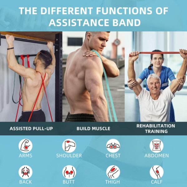 Resistance Bands, Pull Up Bands, Pull Up Assist Band Exercise Resistance Bands for Men & Women Working Out, Body Stretching, Physical Therapy, Muscle Training - Image 7