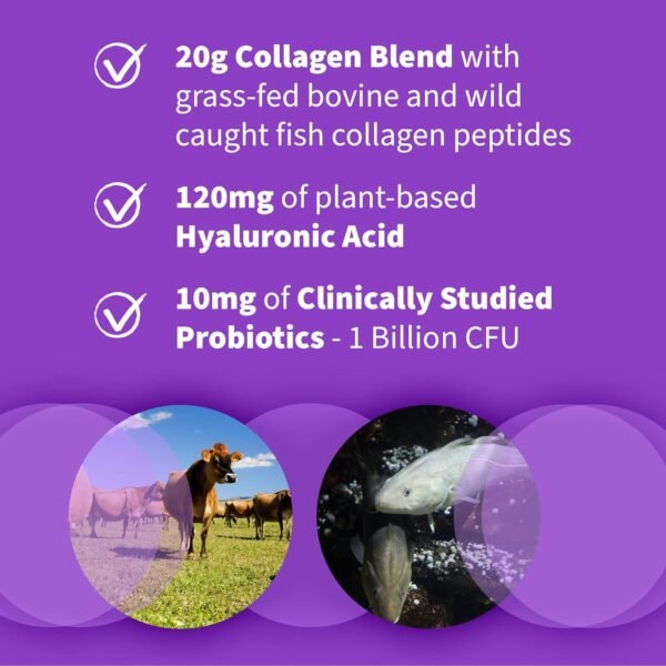 Garden of Life Marine & Grass-Fed Collagen Peptides Powder Supplement (Type I, III) with Probiotics, BCAAs & Hyaluronic Acid for Radiant Hair, Skin & Nails – Unflavored, 20g per Serving, 12 Servings - Image 4