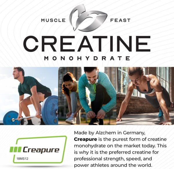Muscle Feast Creapure Creatine Monohydrate Powder, Vegan Keto Friendly Gluten-Free, Mass Gainer, Muscle Recovery Supplement and Best Creatine for Muscle Growth, Unflavored, 300g - Image 3