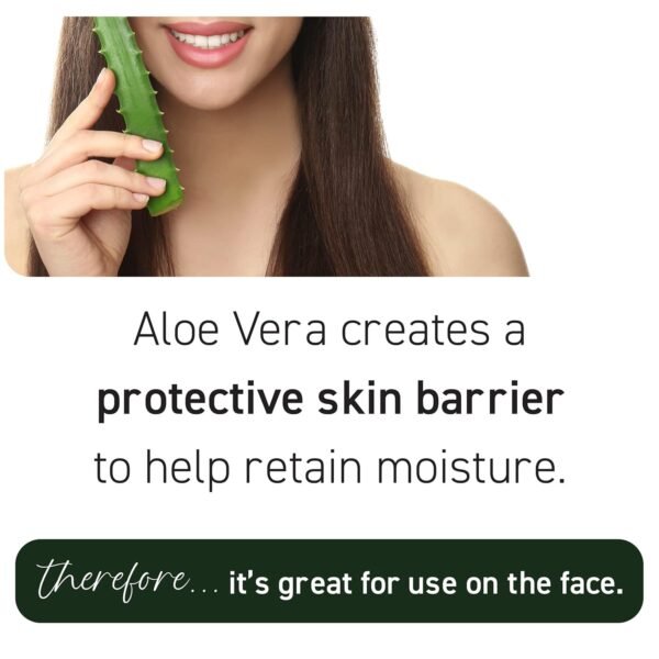 New York Biology Aloe Vera Gel for Face, Skin and Hair - Infused with Tea Tree Oil - From Fresh Aloe Vera Plant - Moisturizing Aloe Vera for Sunburn Relief and Dry Skin - 16.9 Fl Oz - Image 6