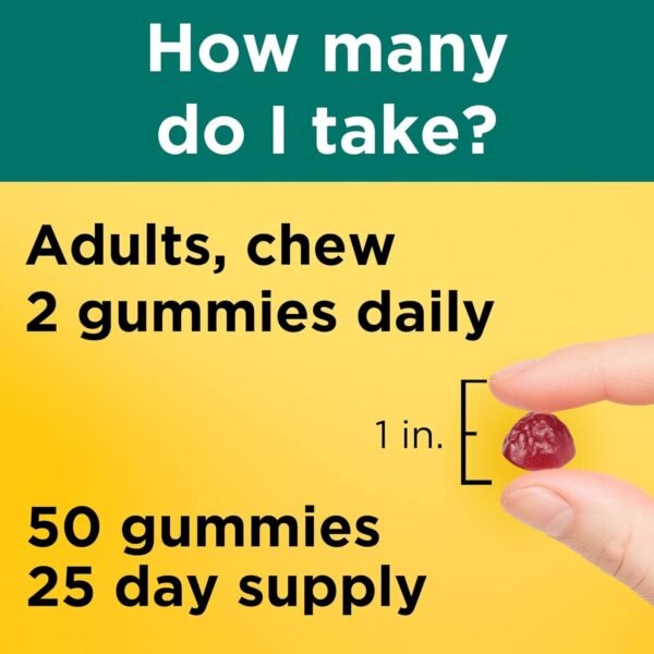 Nature Made Digestive Probiotics and Energy B12 Gummies, Probiotics for Women and Men, 50 Probiotic Gummies, 25 Day Supply - Image 5