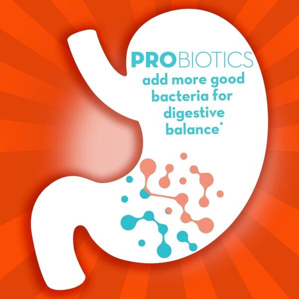 Align Probiotic, Digestive De-stress, Probiotic for Women and Men with Ashwagandha, Helps with a Healthy Response to Stress, Gluten Free, Soy Free, Vegetarian, 50 Gummies - Image 3