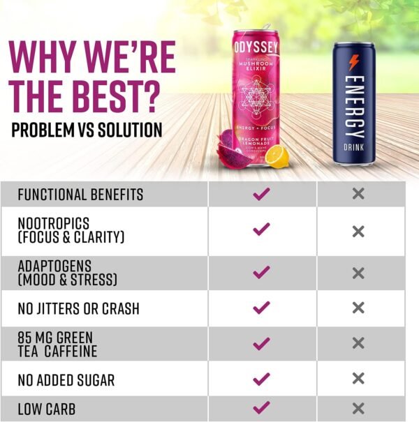 Odyssey Elixir Functional Beverage - Adaptogen Drink with Lions Mane, Cordyceps, L Theanine, & Green Tea Caffeine - for Cognition, Energy & Mood Boost - 0 Added Sugar - Dragon Fruit Lemonade - 12 Pack - Image 5