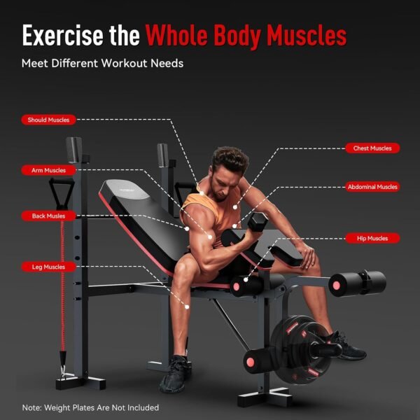HARISON 6 in 1 Weight Bench Set with Leg Extension and Preacher Curl, 660LBS Workout Bench Press Rack for Home Gym with Resistance Bands - Image 6