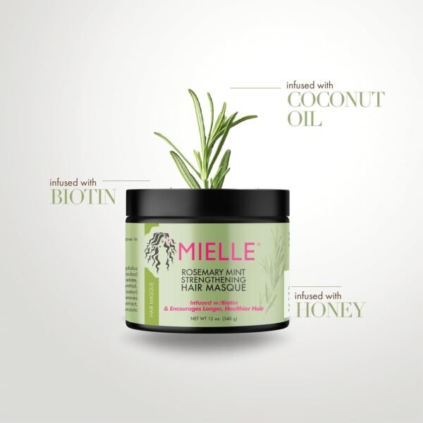 Mielle Organics Rosemary Mint Strengthening Hair Masque, Essential Oil & Biotin Deep Treatment, Miracle Repair for Dry, Damaged, & Frizzy Hair, 12 Ounces - Image 4