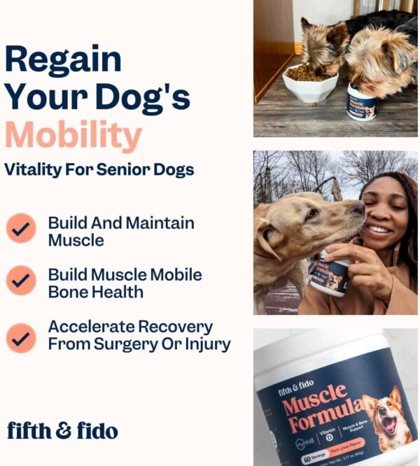 Dog Weight Gainer - Weight Gain Dog Food - Dog Protein Powder - High Calorie Weight Gainer for Dogs - Dog Muscle Builder - Puppy Weight Gainer - Image 4