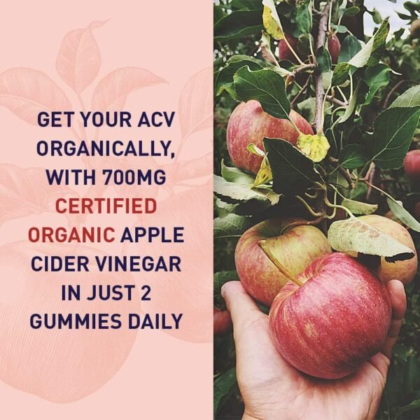 Garden of Life Apple Cider Vinegar Probiotic Gummies USDA Organic ACV Gummy Vitamins, 2 Billion CFUs, Whole Food Vitamin B12-60 Vegan, Non-GMO Gummies for Digestion & Immunity - Image 4