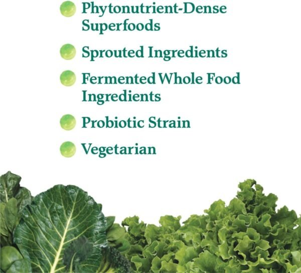 Garden of Life Perfect Food Super Green Formula - 30 Servings | 45 Superfoods, Greens, Fruit & Veggie Juice Superfood Powder Supplement, Probiotics & Organic Spirulina for Digestion & Immune Health - Image 3