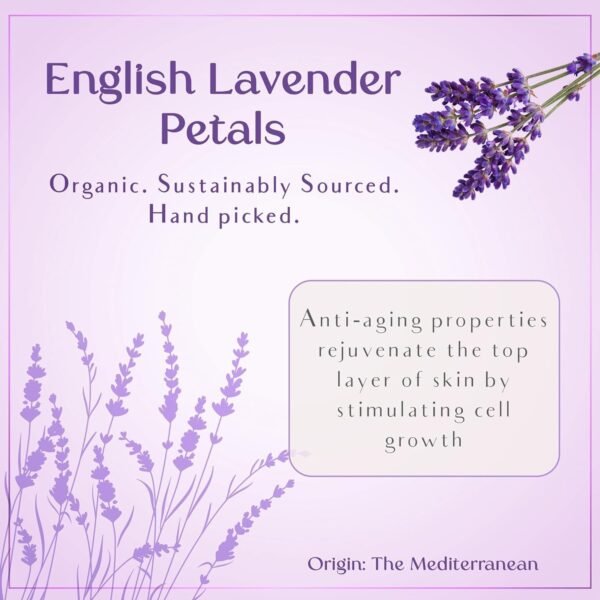 SAFA Lavandé Oil for Face, Body, Hair & Nails - English & French Lavender Essential Oil | Skin Moisturizer | After Shower Body Oil for Long Lasting Fragrance | Aromatherapy & Diffuser Oil - 4 Fl Oz - Image 4