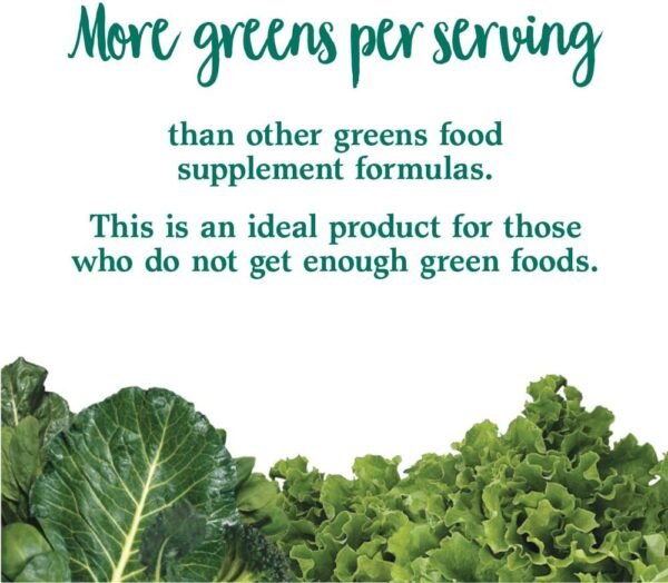 Garden of Life Perfect Food Super Green Formula - 30 Servings | 45 Superfoods, Greens, Fruit & Veggie Juice Superfood Powder Supplement, Probiotics & Organic Spirulina for Digestion & Immune Health - Image 7