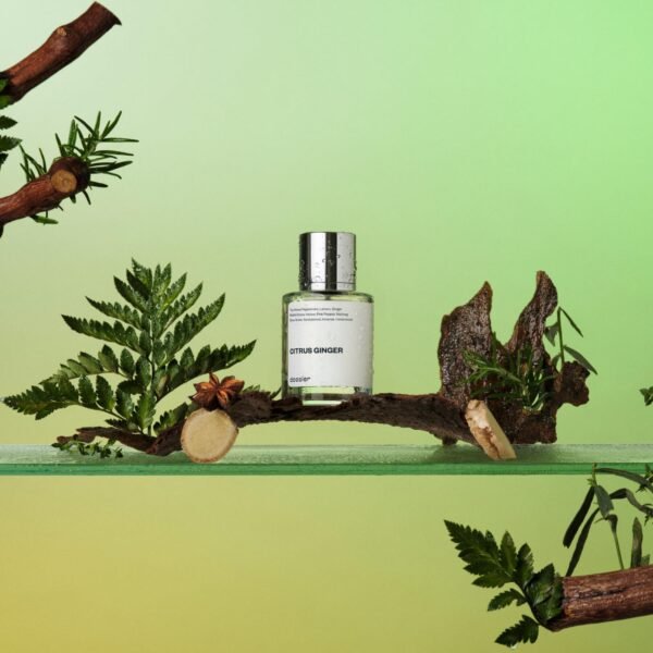 Dossier - Citrus Ginger - Eau de Parfum - Inspired By Bleu De Cha nel Fragrance - Perfume Luxury - Pure Infused - For Men - Fragrance 1,7 Fl 0z (50ml) - Image 4