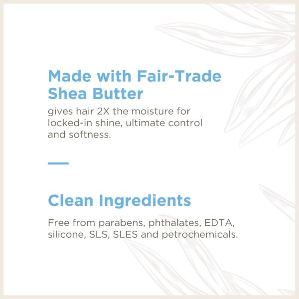 Soapbox Argan Oil Conditioner, Sulfate Free, Paraben Free, Silicone Free, Color Safe, and Vegan Hair Conditioner (33.8 Ounces) - Image 5