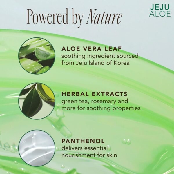 The Face Shop Jeju Aloe Soothing Gel | Multi-use Moisturizing & Soothing Gel For Face, Body & Sun Burn Care | 95% Aloe Vera Extract, All Skin Types, 10.14 fl oz, Korean Skincare - Image 6
