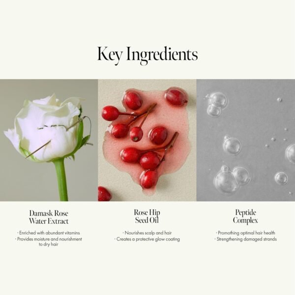 Rosy Night Vegan Hair Perfume Long-Lasting Floral Musky Scented with Damask Rose Extract, Rosehip Oil, Peptide Complex for All Hair Type, Free of Silicone & Parabens (3.38 fl. Oz) - Image 4