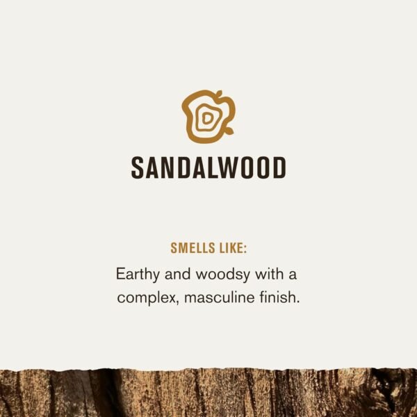 Every Man Jack Mens Sandalwood Grooming Set - Five Full-Sized Essentials: Wash, Lotion, Hydrating Oil, Butter, and Comb - Image 5