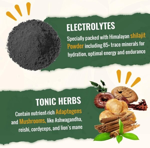 Super Greens Powder Superfood Supplement + Electrolytes & Tonic Herbs | Organic Greens, Adaptogens, Shilajit, Antioxidants, Preobiotic & Probiotic & Postbiotic | for Gut, Energy & Immune | 30 Servings - Image 6