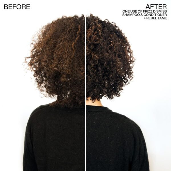 Redken Frizz Dismiss Sulfate-Free Conditioner For Frizzy Hair - Controls Frizz, Moisturizes and Smooths For Silky Hair - Image 7