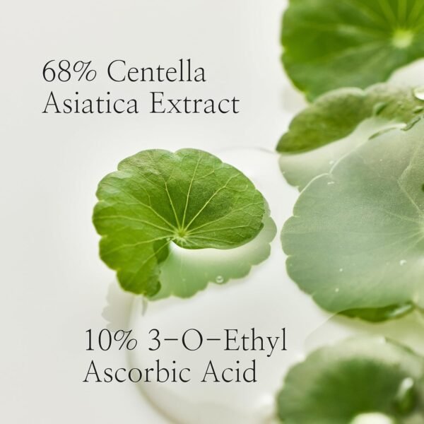 Beauty of Joseon Light On Serum Vitamin C Centella Dark Spot Fine Lines Pigmentation Correcting Serum, Hydrating Moisturizer, Korean Skin Care for Men and Women, 30ml, 1 fl.oz - Image 4