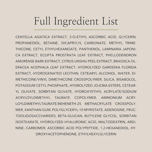 Beauty of Joseon Light On Serum Vitamin C Centella Dark Spot Fine Lines Pigmentation Correcting Serum, Hydrating Moisturizer, Korean Skin Care for Men and Women, 30ml, 1 fl.oz - Image 8