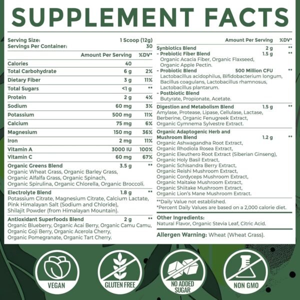 Super Greens Powder Superfood Supplement + Electrolytes & Tonic Herbs | Organic Greens, Adaptogens, Shilajit, Antioxidants, Preobiotic & Probiotic & Postbiotic | for Gut, Energy & Immune | 30 Servings - Image 3