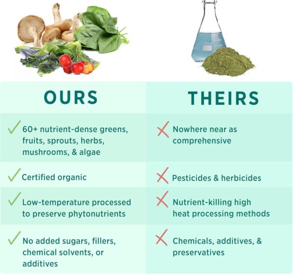 PURE SYNERGY Organic Superfood Powder | Organic Green Superfood Powder | Whole Food Supplement with Organic Greens, Spirulina and Mushrooms | for Energy, Healthy Aging, and Immune Health (12.5 oz) - Image 5
