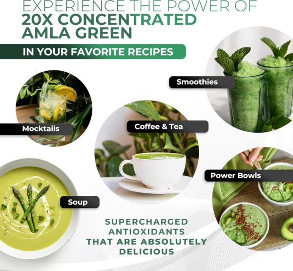 Amla Powder & Green Tea Superfood Supplement, 20x Ultra Concentrated Amla, Antioxidant Support, Made with Oolong Tea and Indian Gooseberries, Organic, Vegan, Classic Flavor, 30 Servings - Image 8