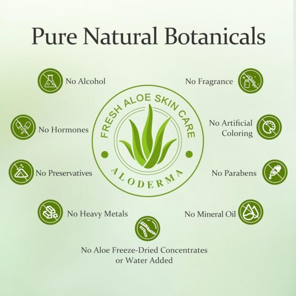Aloderma Fresh Aloe Vera Face Hydrator Made with 99.8% Organic Aloe Vera within 12 Hours of Harvest - No Thickeners Great for Acne Prone & Sensitive Skin Repair, Scalp, & Hair 240ml - Image 7