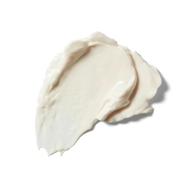 Weleda Skin Food Face Care Nourishing Day Cream, 1.3 Fluid Ounce, Plant Rich Moisturizer with Olive Leaf Extract, Squalane and Chamomile - Image 5