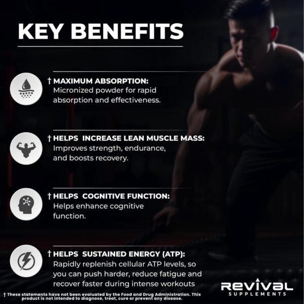 Revival Premium Micronized Creatine Monohydrate - HPLC Tested 100% Pure Grade - 500g (100 Servings) - Supports Lean Muscle Growth - Maximum Absorption - Unflavored - Made in USA & 3rd Party Lab Tested - Image 5