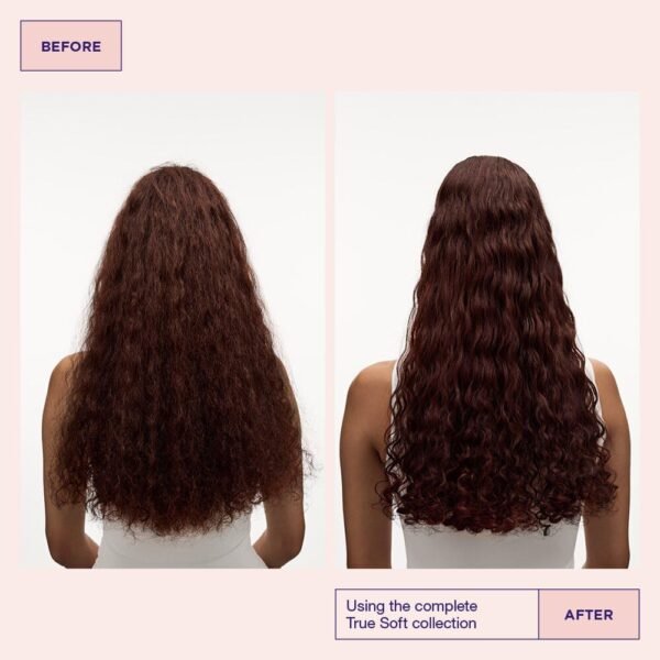 Maria Nila True Soft, Shampoo 11.8 Fl Oz, For Dry Hair, Argan Oil Remoisturises & Reduces Frizz, 100% Vegan & Sulfate/Paraben free - Image 5