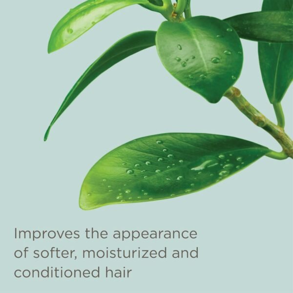 Hairitage Leave-in Conditioner Spray - Leave-In Hair Treatment - Detangles + Fortifies - Reduces Breakage + Deep Conditions, 6 fl oz - Image 6