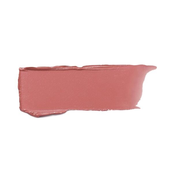 L’Oréal Paris Colour Riche Satin Lipstick for Moisturized Lips,Lip Makeup with Argan Oil and Vitamin E,Worth It,0.13 Oz - Image 9