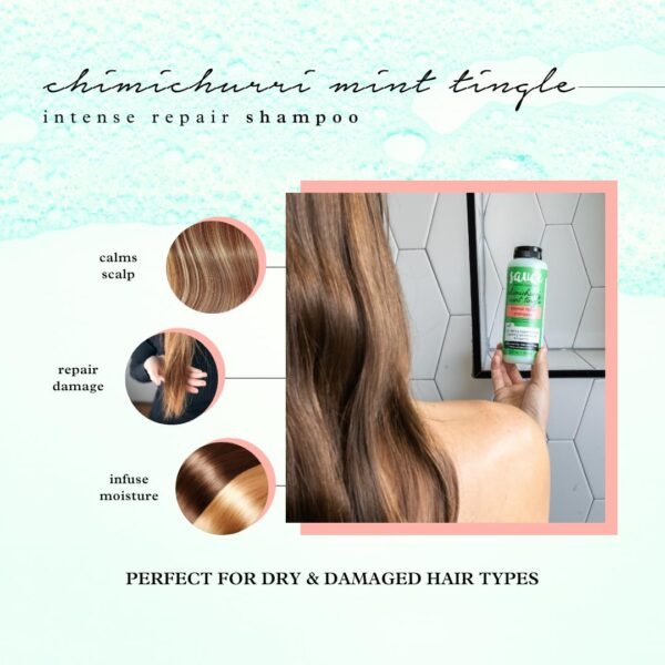 SAUCE BEAUTY Intense Repair Shampoo - Chimichurri Mint Tingle Hair Repair Shampoo - Hydrating Shampoo for Damaged Hair - Paraben and Sulfate-Free Hair Shampoo With Argan & Peppermint Oil (10 Fl Oz) - Image 5