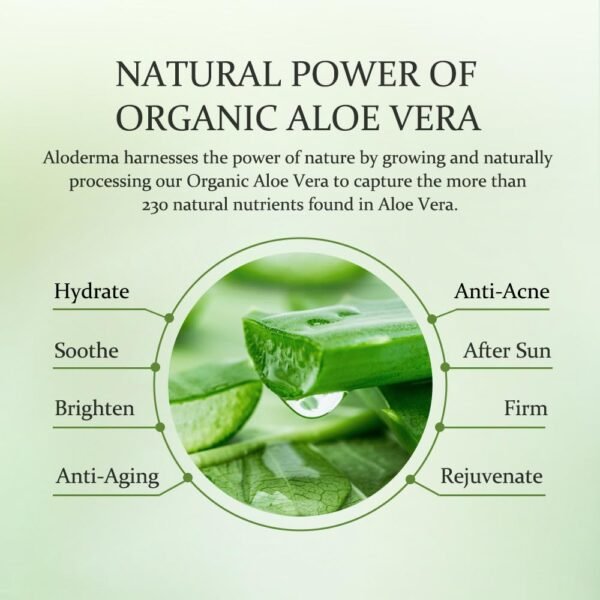 Aloderma Organic Aloe Vera Gel for Face & Body, 96% Pure Aloe Gel Made within 12 Hours of Harvest, Ideal for Skin, Scalp, & Hair Hydration, Calming Moisturizer for Soothing After Sun Care Relief, 7oz - Image 3