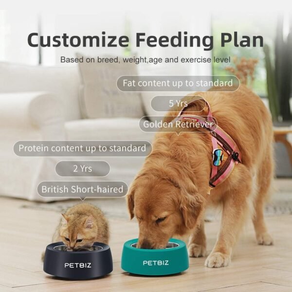 Smart Bowl for Pets, Stainless Steel Pet Bowl with Built-in Digital Scale, Feeding Suggestion (Forrest Green) - Image 6