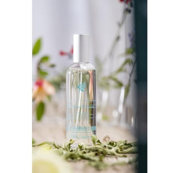 Provence Sante Eau de Toilette Spray - Luxury Long-Lasting Fragrance - Refreshing Vervain Scent - Elegant Perfume Gift - Made in France - 3.5 Oz - Image 3