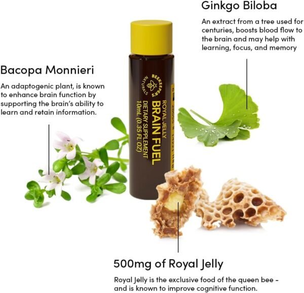 BEEKEEPER'S NATURALS B.LXR Brain Fuel - Memory, Focus and Clarity Liquid Formula, Supports Productivity Royal Jelly, Ginkgo Biloba, Bacopa Monnieri Keto Friendly, Gluten & Caffeine-Free, (6 ct) - Image 6