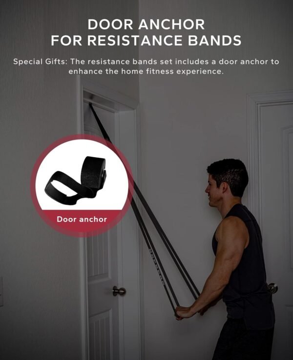 Pull Up Assistance Bands, HAPBEAR Resistance Band Set of 5, Long Power Workout Rubber Bands with Door Anchor, Strength Heavy Duty Exercise Bands for Powerlifting Stretching Fitness Training - Image 5