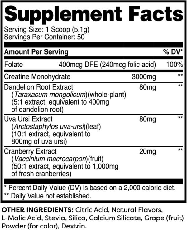 Pump-It-Up Creatine (50 Servings, Blueberry Pomegranate) - Creatine Monohydrate with Dandelion, Uva Ursi, & Cranberry Extract - Image 3